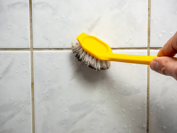  Jersey Shore, PA Mold Removal Pros