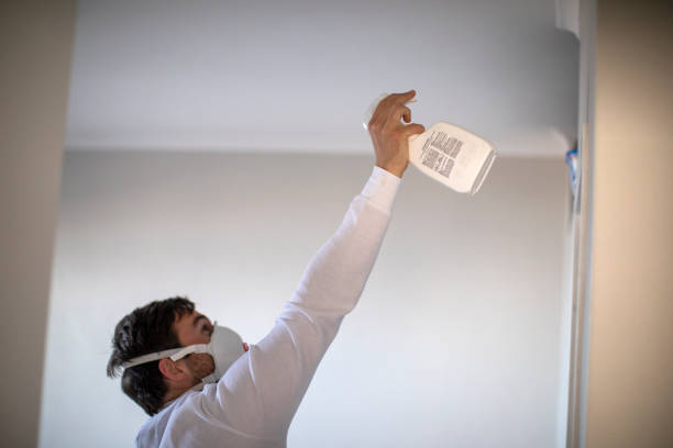 Best Commercial Mold Removal  in Jersey Shore, PA