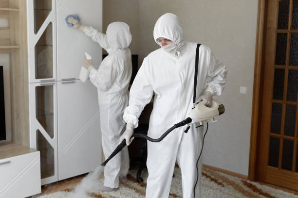 Mold Removal and Inspection in Jersey Shore, PA